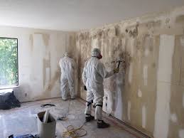 Mold Remediation for Rental Properties in Caldwell, TX